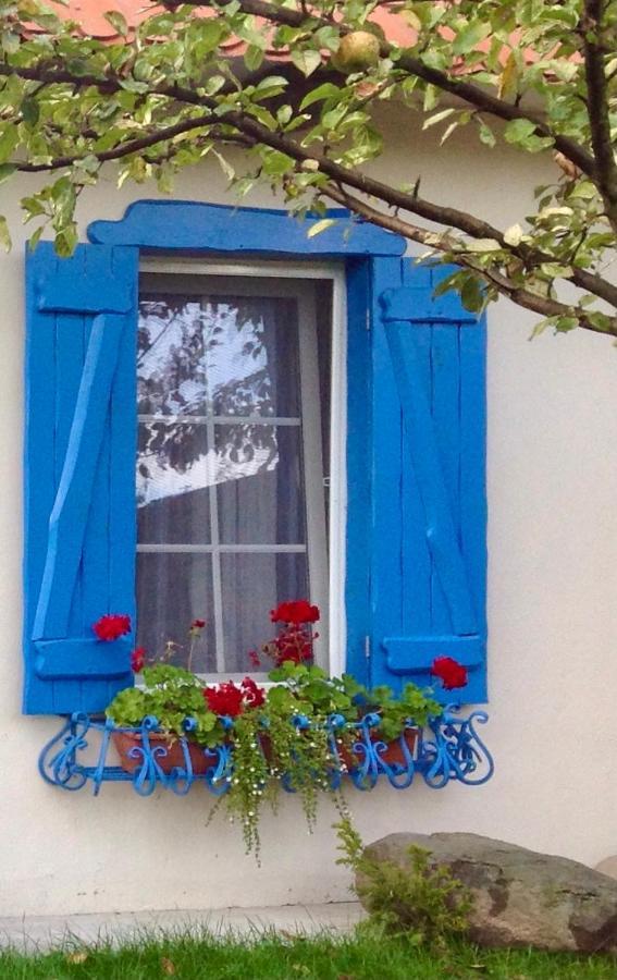Flower Street Svityaz' Luaran gambar